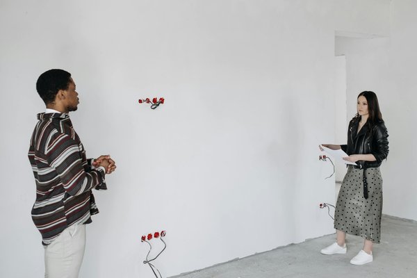 Top 5 raisons d'opter pour une toiture végétalisée écologique