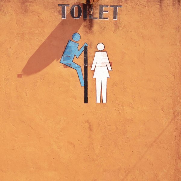 Pourquoi les toilettes sèches sont-elles avantageuses lors des événements et festivals ?