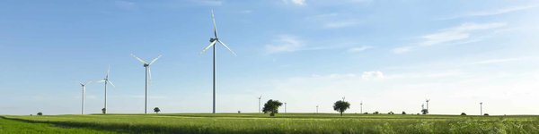 Quelles sont les alternatives à la serre de jardin ?