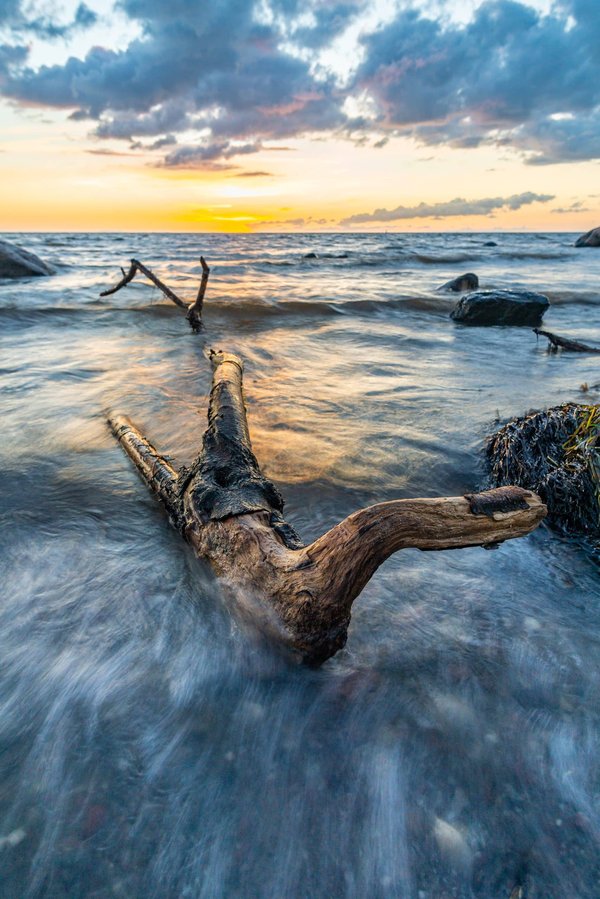 Tout ce qu'il y a à savoir sur les poêles à bois